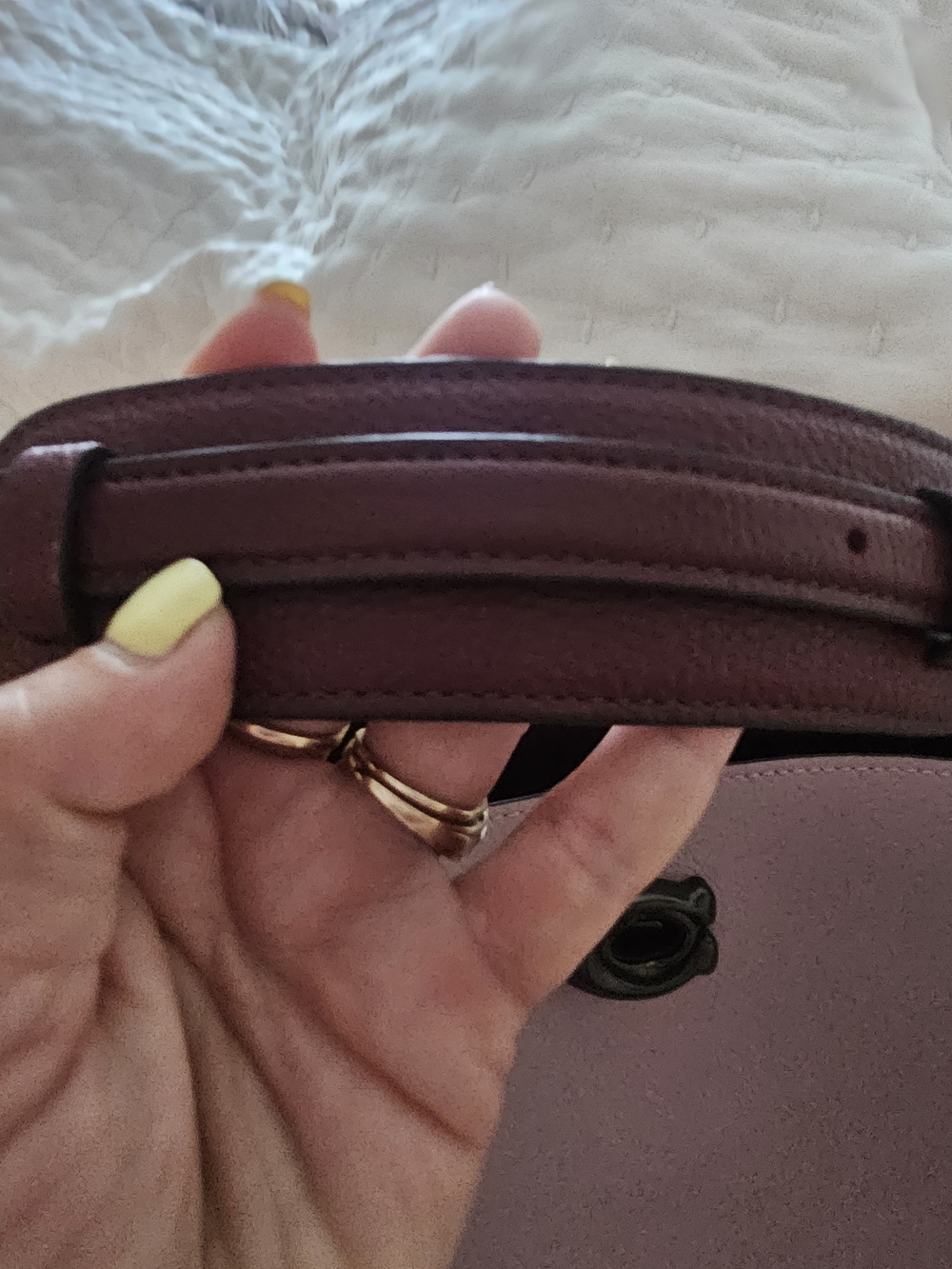 Coach Crossbody Bag in Plum and Pink